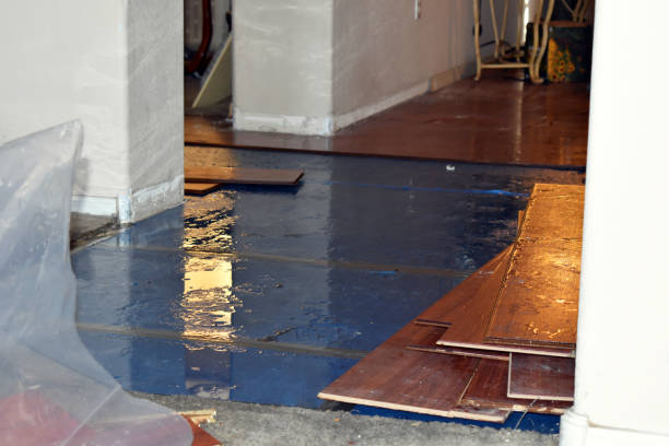 Professional Flood Cleanup technician working in Boxford, MA